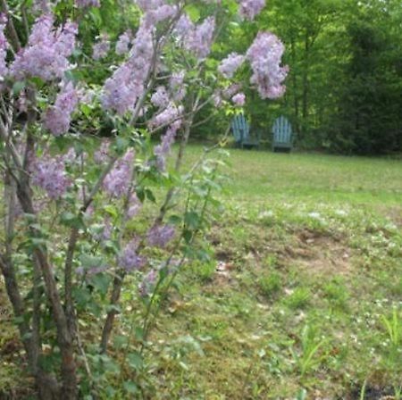 Tumble Inn Schroon Lake Esterno foto