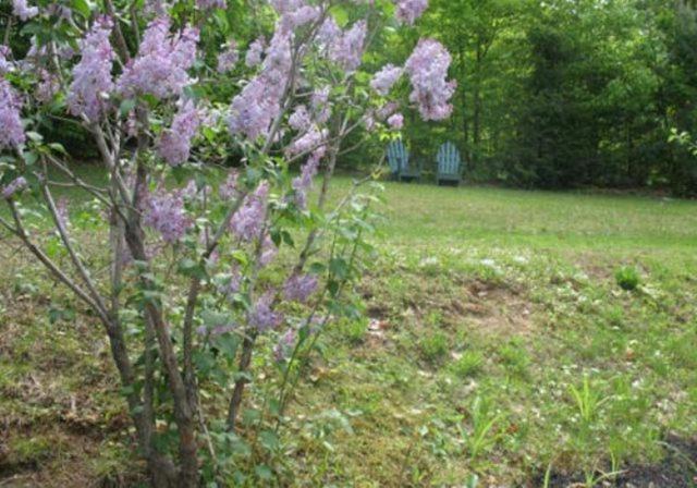 Tumble Inn Schroon Lake Esterno foto